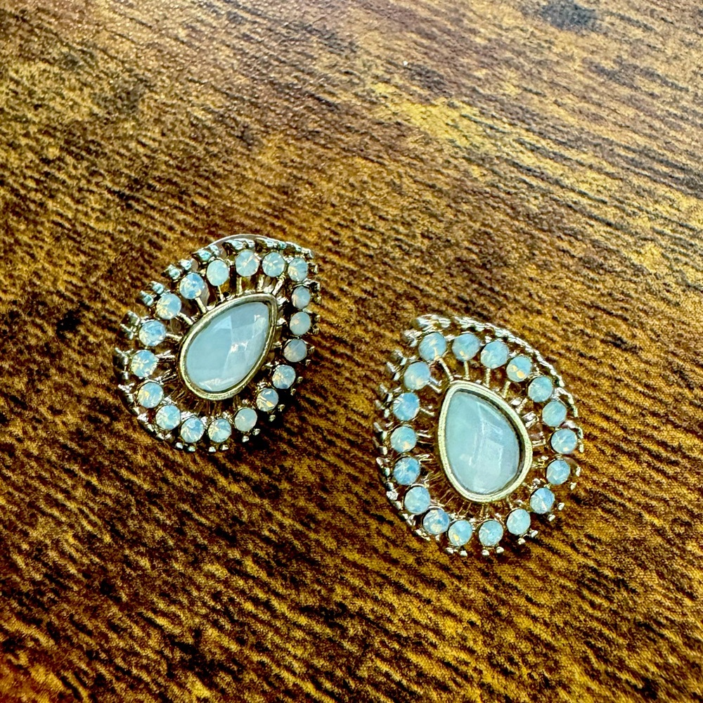 Beautiful earrings worn once!